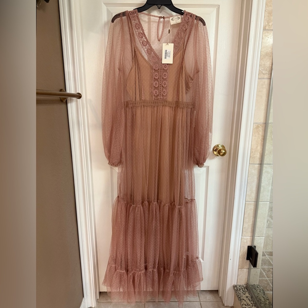 Joyfolie Long Sleeve Sheer Dress in Dusty Rose